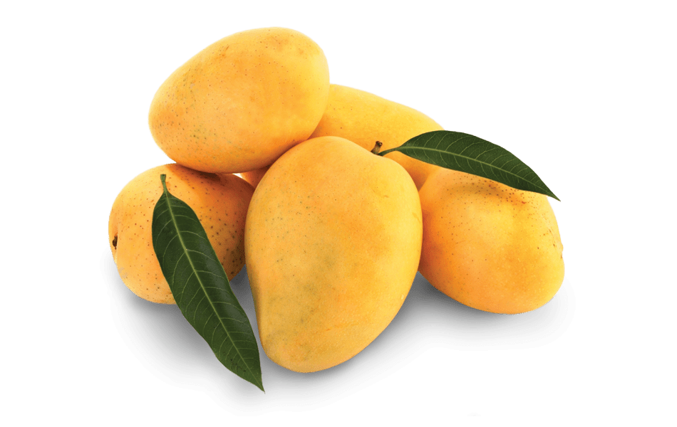 mango-with-leaves mango with leaves